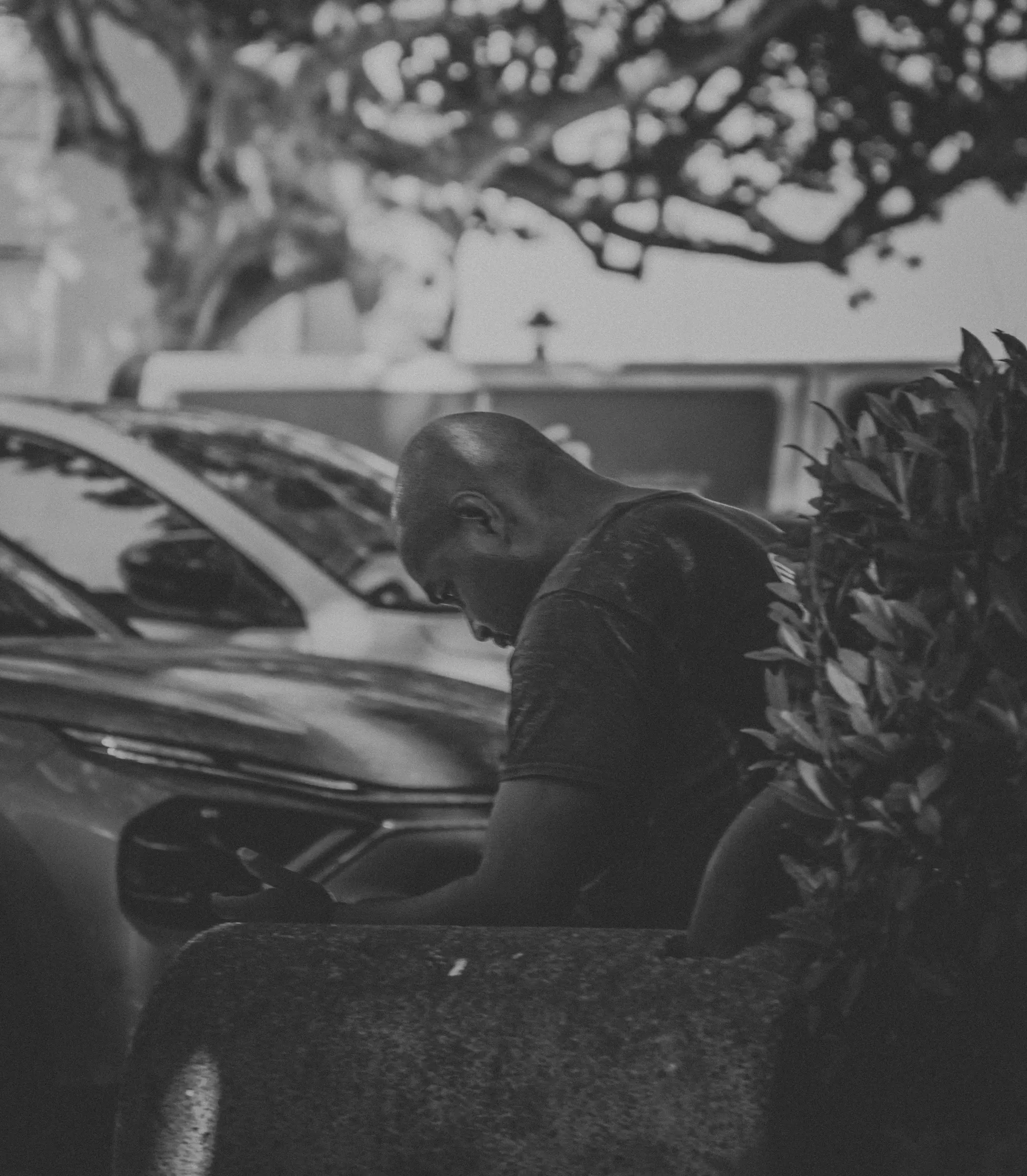noir et blanc