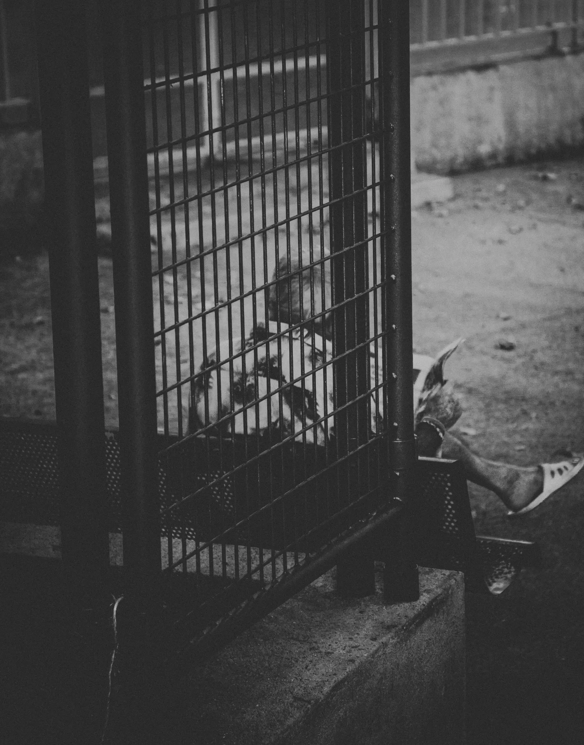 noir et blanc